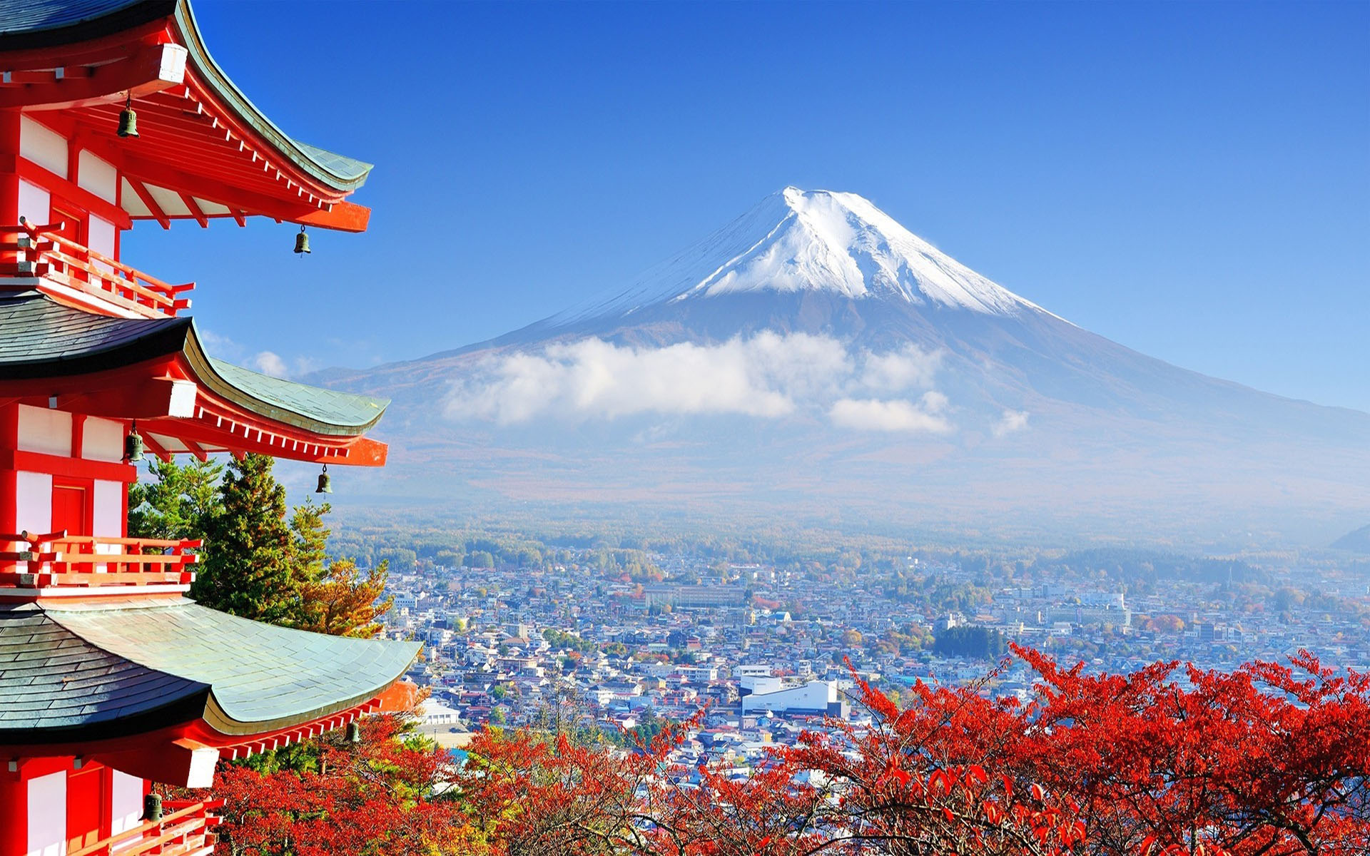 大王先生日本东京+富士山+奈良+京都+大阪7日6晚跟团游